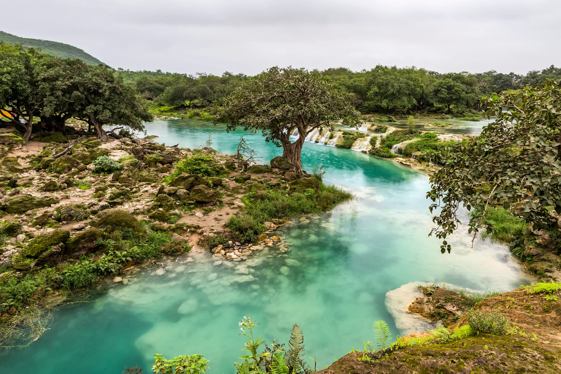 Image of Salalah, in Oman, a winding river surrounded by trees