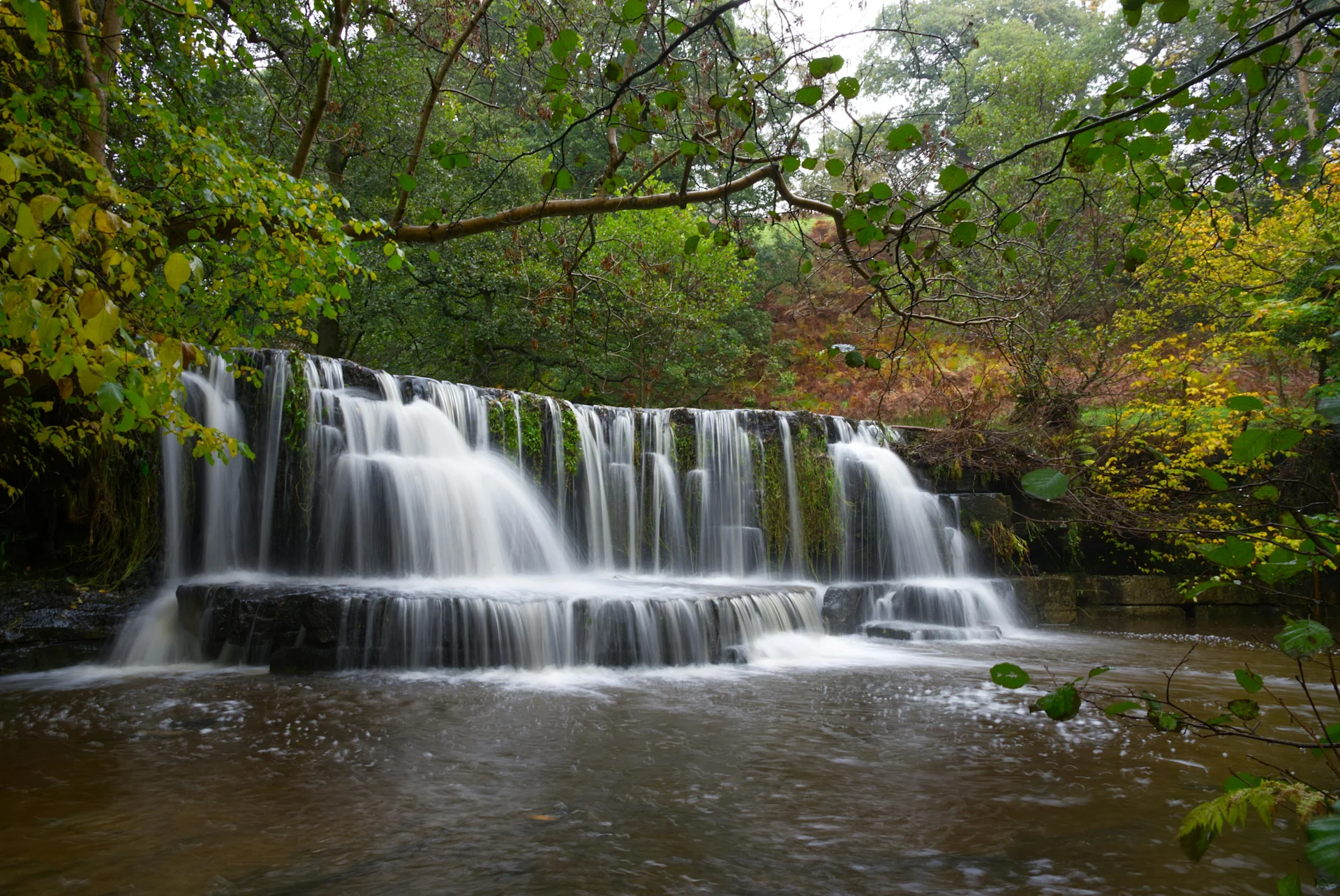 Waterfall in Forest